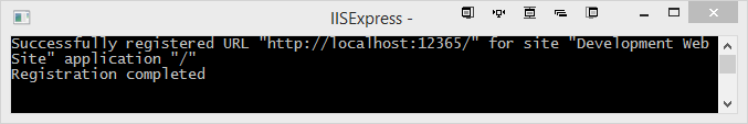 IIS Express window